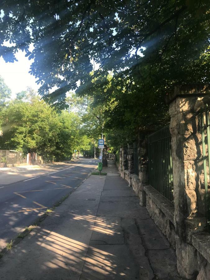 Pasaret Studio 布达佩斯 外观 照片